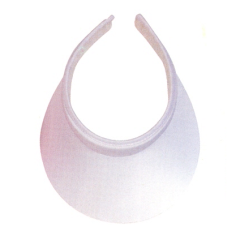 clip on visors
